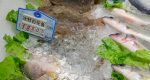 深センスーパー海鮮売り場